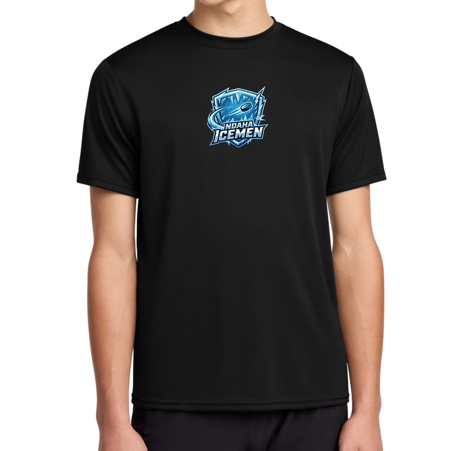 Icemen Hockey Logo Adult Dry Fit Tee, Long Sleeve Hoodie