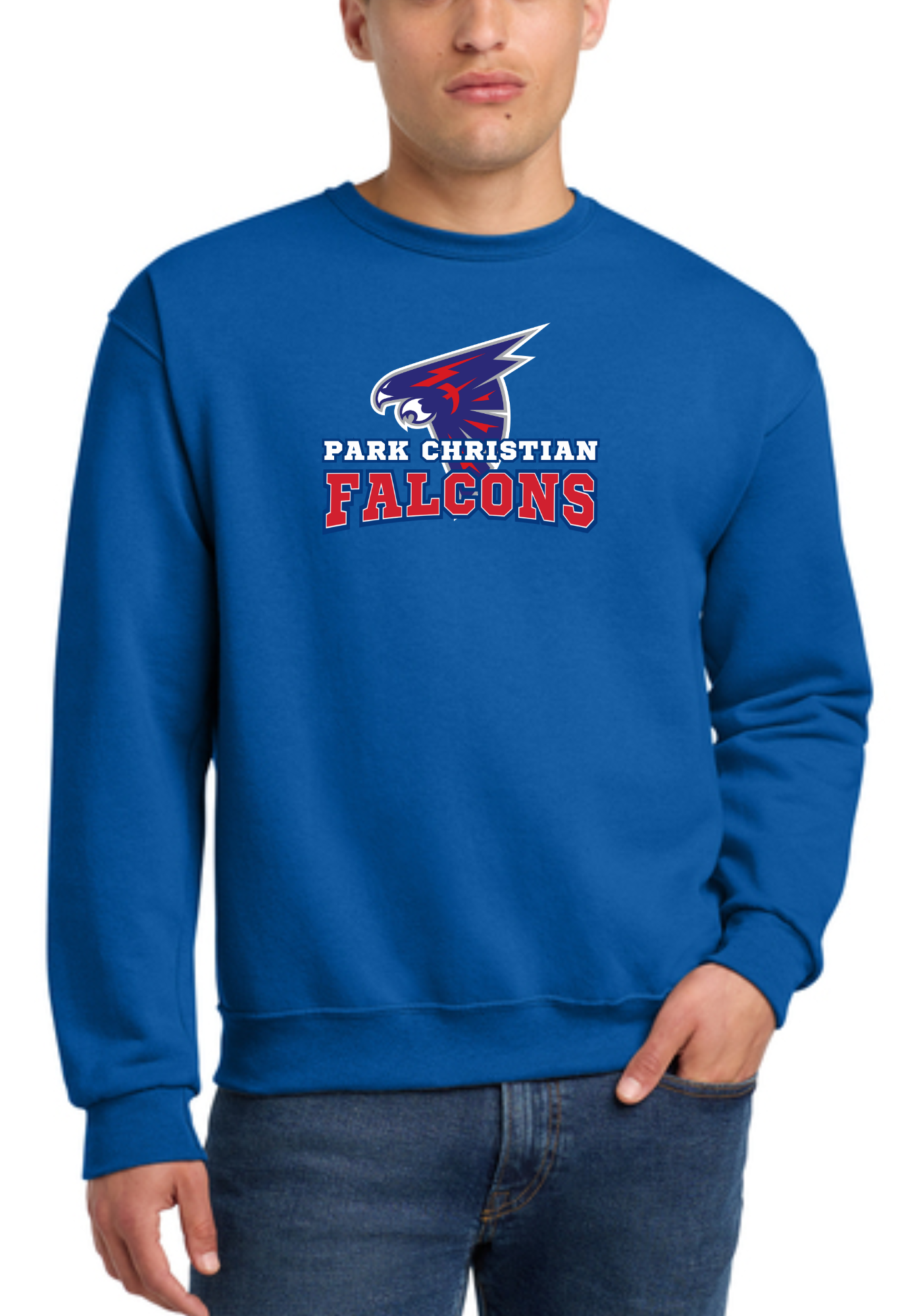 Adult Curved Falcons Tee, Crew, Crop or Hoodie PCS13