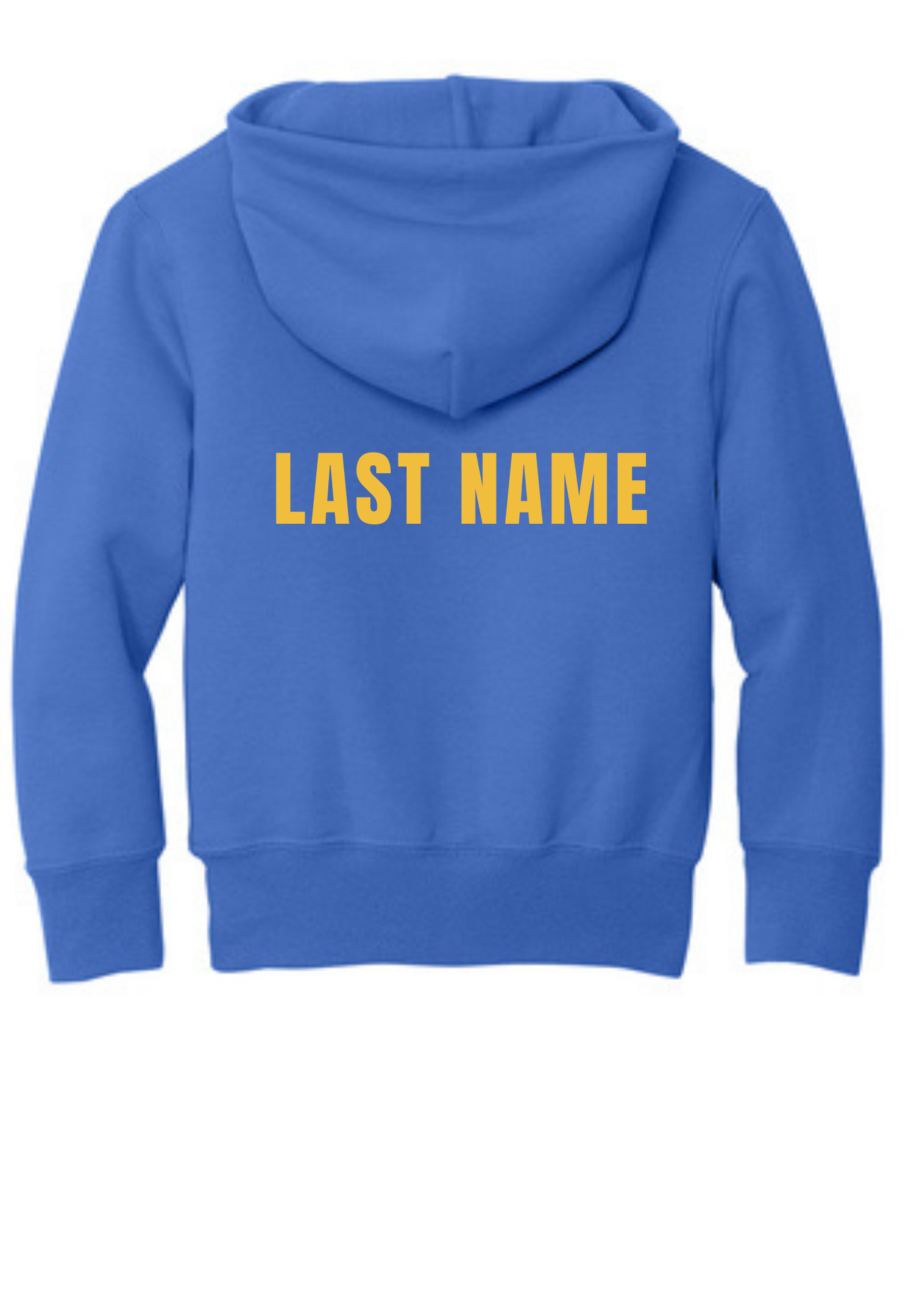 Hockey Sister Stampede Hoodie ST012