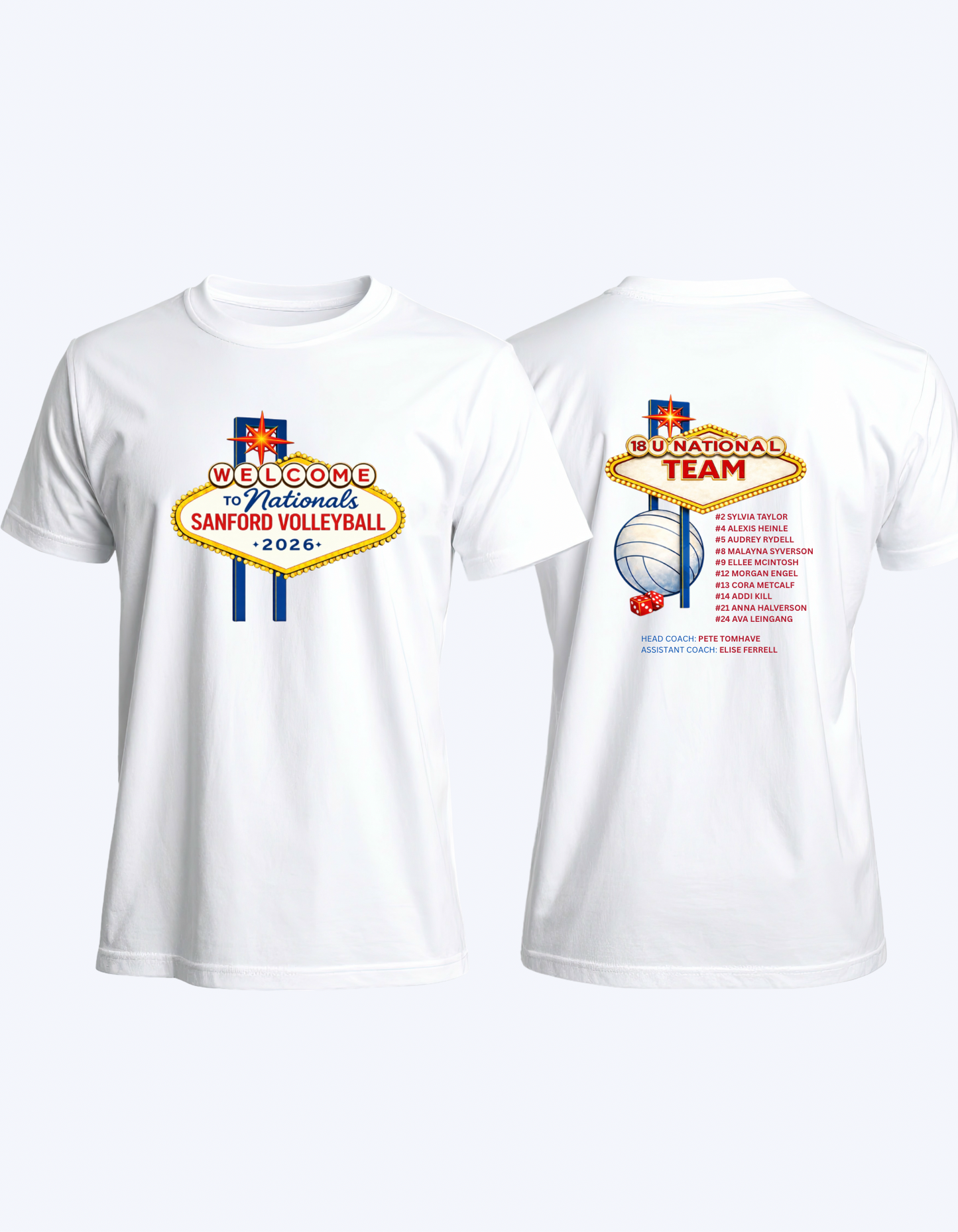 Nationals Volleyball Tank or Tee