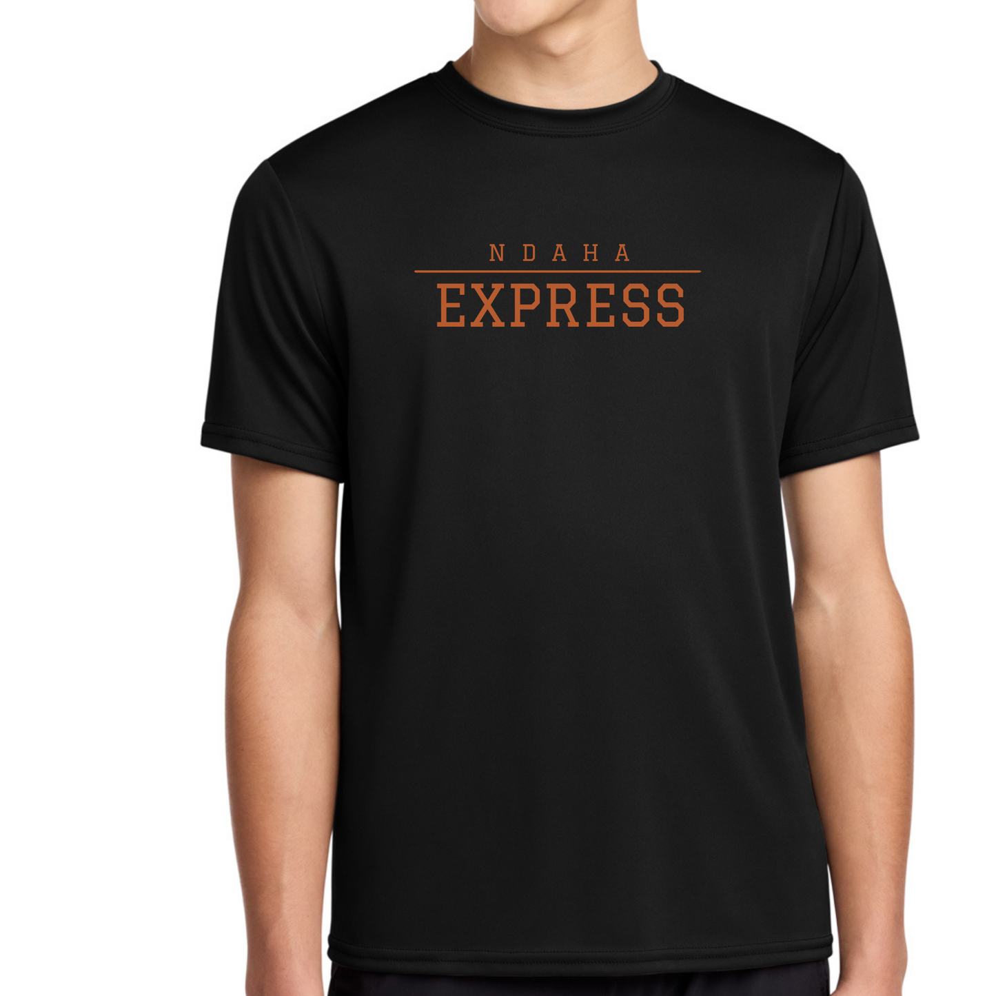 Express Hockey Block Letters Adult Dry Fit Tee, Long Sleeve Hoodie