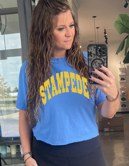 Comfort Colors Team Tees
