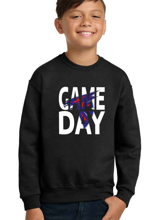 Youth Game Day Falcons Tee, Crew, or Hoodie PCS06