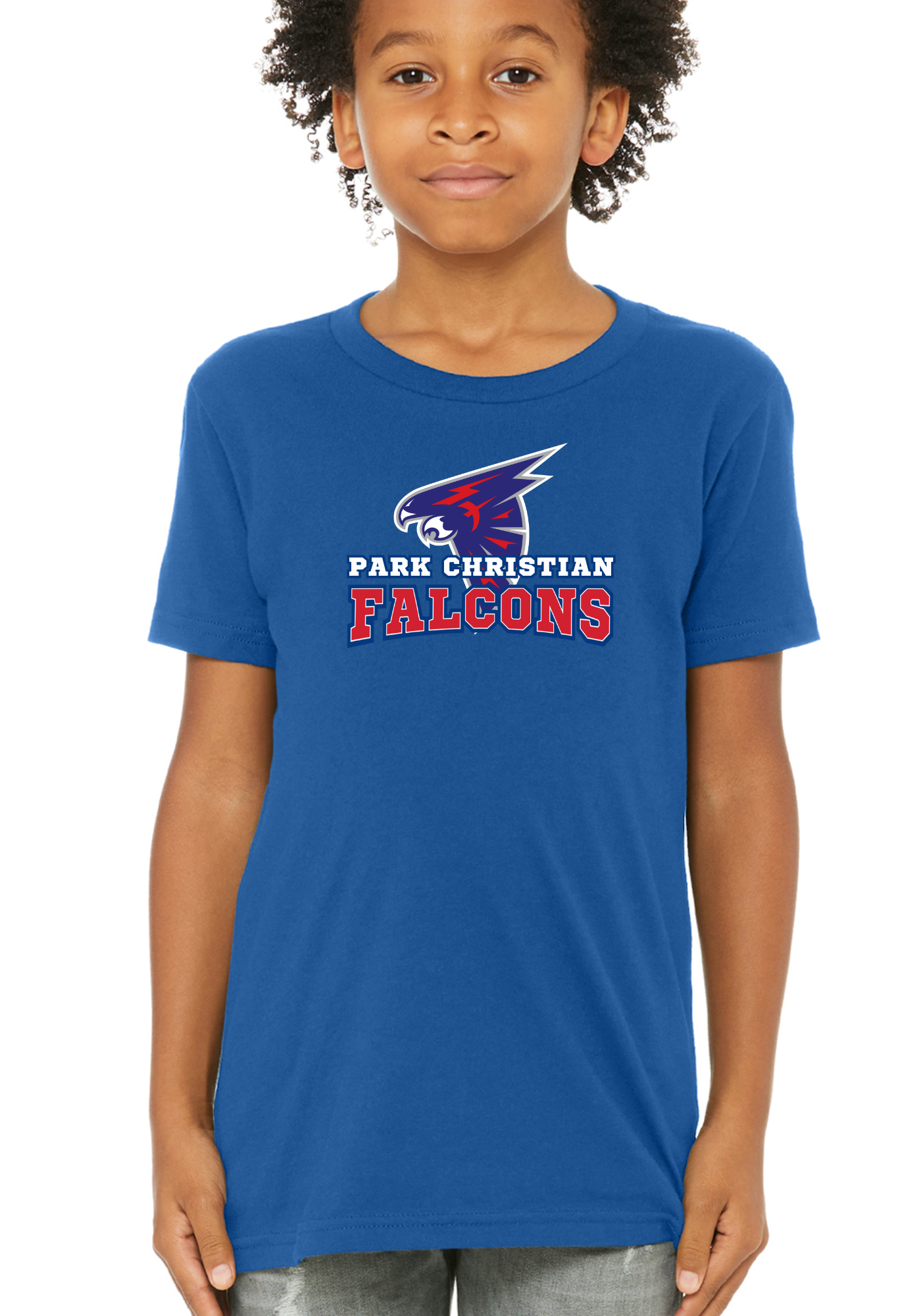 Youth Curved Falcons Tee, Crew, or Hoodie PCS13