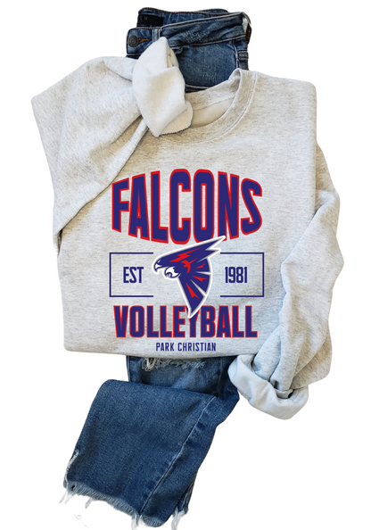 ANY SPORT Falcons Tee, Crew, Crop or Hoodie PCS17