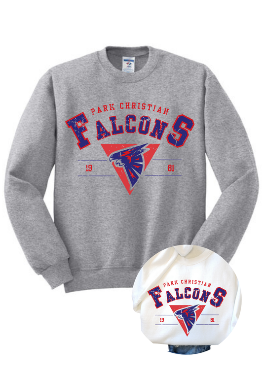 Distressed Falcons Tee, Crew, or Hoodie PCS18