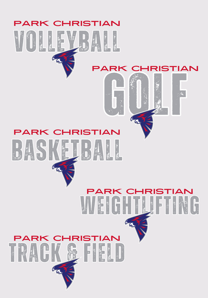 PCS Sports Grunge Tee, Crew Sweatshirt, or Hoodie PCS65