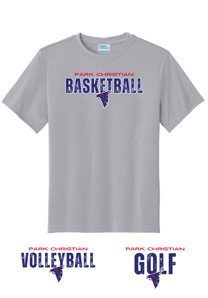 PCS Gray Sports Grunge Tee, Crew Sweatshirt, or Hoodie PCS65