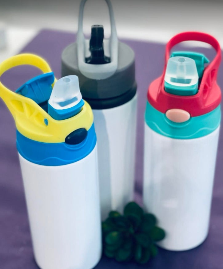 Insulated Customizable Water Bottles with Straw lids